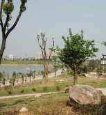 河道治理基本原则有哪些